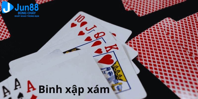 Giới thiệu về binh xập xám